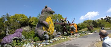 浜名湖花博2024に投稿された画像（2024/4/17）