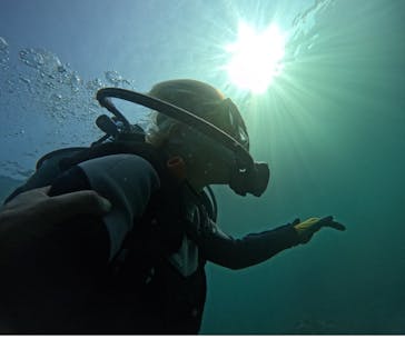 武藤潜水に投稿された画像（2024/4/17）