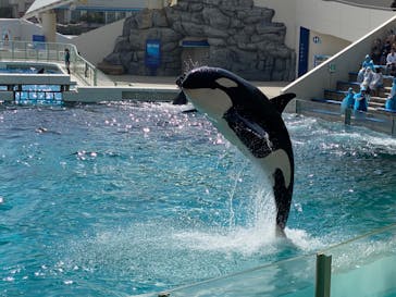 鴨川シーワールドに投稿された画像（2024/4/17）