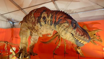 オダイバ恐竜博覧会2024 -福井から“ヤツラ”が新幹線でやってくる！-に投稿された画像（2024/4/17）