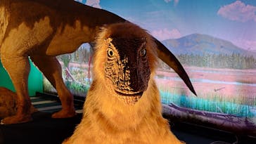 オダイバ恐竜博覧会2024 -福井から“ヤツラ”が新幹線でやってくる！-に投稿された画像（2024/4/17）