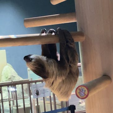 DMMかりゆし水族館に投稿された画像（2024/4/17）