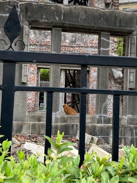 広島平和記念資料館に投稿された画像（2024/4/17）