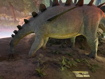 福井県立恐竜博物館に投稿された画像（2024/4/17）