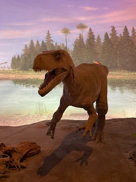 福井県立恐竜博物館に投稿された画像（2024/4/17）