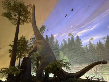 福井県立恐竜博物館に投稿された画像（2024/4/17）