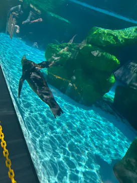 天王寺動物園に投稿された画像（2024/4/17）