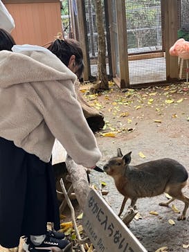 横浜・八景島シーパラダイスに投稿された画像（2024/4/17）