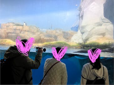 横浜・八景島シーパラダイスに投稿された画像（2024/4/17）