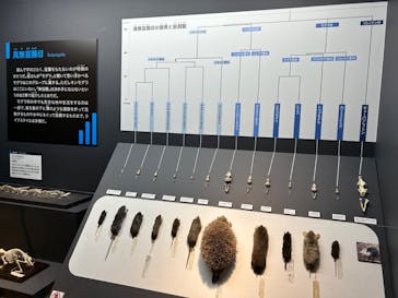 特別展「大哺乳類展３－わけてつなげて大行進」に投稿された画像（2024/4/17）