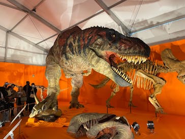 オダイバ恐竜博覧会2024 -福井から“ヤツラ”が新幹線でやってくる！-に投稿された画像（2024/4/18）