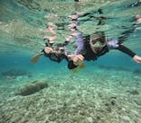 沖縄マリンサービス碧に投稿された画像（2024/4/18）