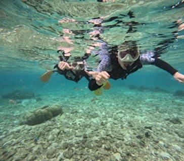 沖縄マリンサービス碧に投稿された画像（2024/4/18）