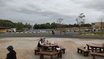 浜名湖花博2024に投稿された画像（2024/4/18）