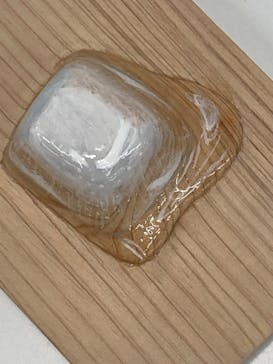 新潟県立自然科学館に投稿された画像（2024/4/18）