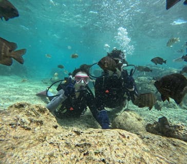 沖縄マリンサービス碧に投稿された画像（2024/4/18）