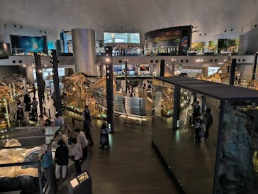 福井県立恐竜博物館に投稿された画像（2024/4/18）