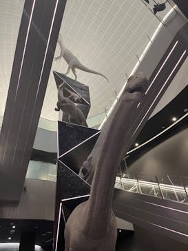 福井県立恐竜博物館に投稿された画像（2024/4/18）