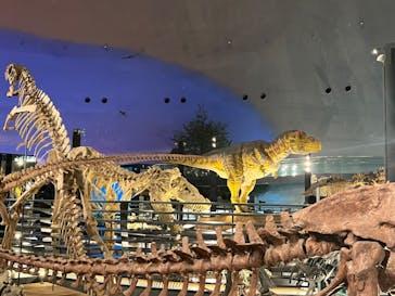 福井県立恐竜博物館に投稿された画像（2024/4/18）