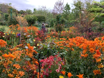 浜名湖花博2024に投稿された画像（2024/4/18）