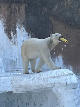 天王寺動物園に投稿された画像（2024/4/18）