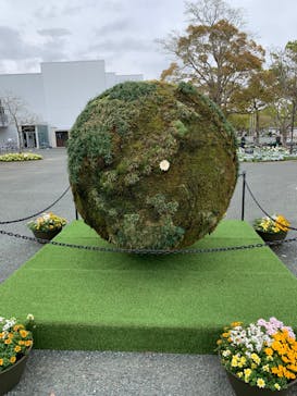 浜名湖花博2024に投稿された画像（2024/4/18）