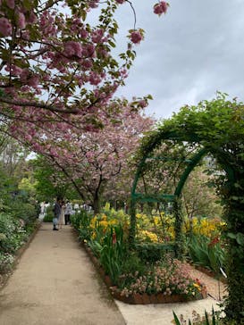 浜名湖花博2024に投稿された画像（2024/4/18）