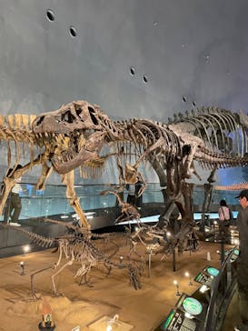 福井県立恐竜博物館に投稿された画像（2024/4/18）