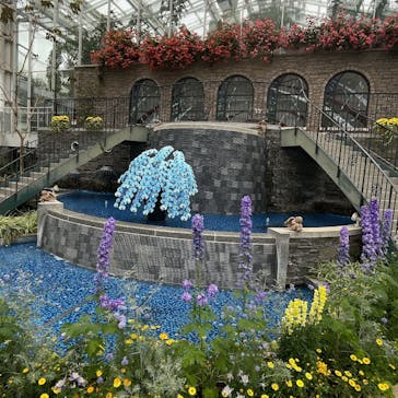 浜名湖花博2024に投稿された画像（2024/4/18）