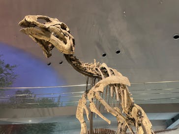 福井県立恐竜博物館に投稿された画像（2024/4/18）