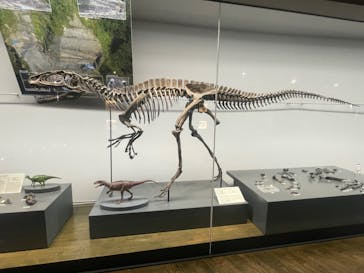 福井県立恐竜博物館に投稿された画像（2024/4/18）