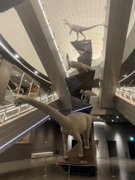 福井県立恐竜博物館に投稿された画像（2024/4/18）