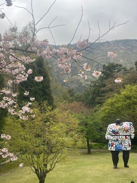 彫刻の森美術館に投稿された画像（2024/4/18）