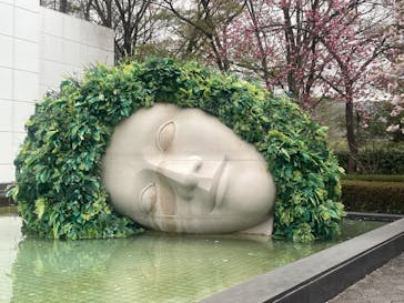 彫刻の森美術館に投稿された画像（2024/4/18）