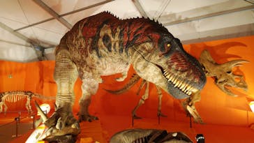 オダイバ恐竜博覧会2024 -福井から“ヤツラ”が新幹線でやってくる！-に投稿された画像（2024/4/18）