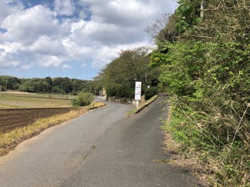 成田の命泉　大和の湯に投稿された画像（2024/4/18）