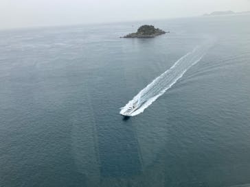 徳島県立 渦の道に投稿された画像（2024/4/18）