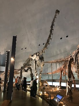 福井県立恐竜博物館に投稿された画像（2024/4/18）