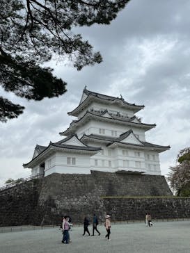 小田原城に投稿された画像（2024/4/18）