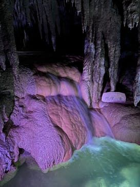 おきなわワールドに投稿された画像（2024/4/18）