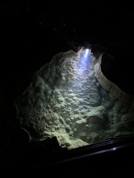 おきなわワールドに投稿された画像（2024/4/18）