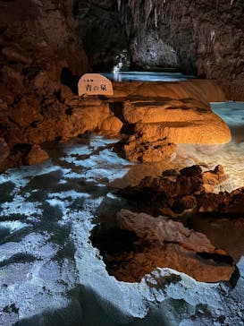 おきなわワールドに投稿された画像（2024/4/18）