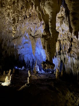 おきなわワールドに投稿された画像（2024/4/18）