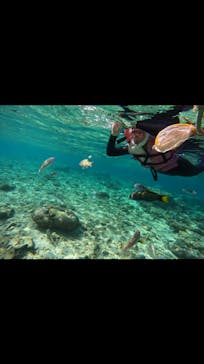 武藤潜水に投稿された画像（2024/4/19）