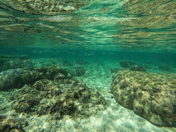 沖縄マリンサービス碧に投稿された画像（2024/4/19）