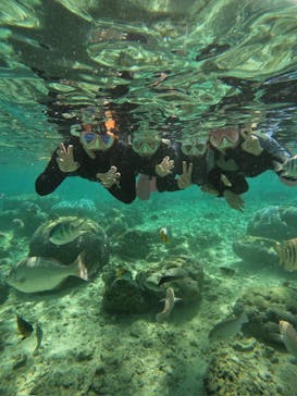 沖縄マリンサービス碧に投稿された画像（2024/4/19）