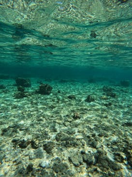 沖縄マリンサービス碧に投稿された画像（2024/4/19）