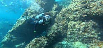 武藤潜水に投稿された画像（2024/4/19）