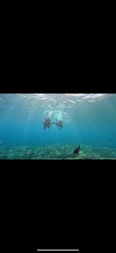 武藤潜水に投稿された画像（2024/4/19）