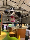 国立科学博物館に投稿された画像（2024/4/19）